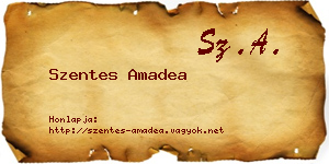 Szentes Amadea névjegykártya